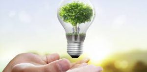 EcoEnergy Electricity Saver - comentarios - Forum - creme