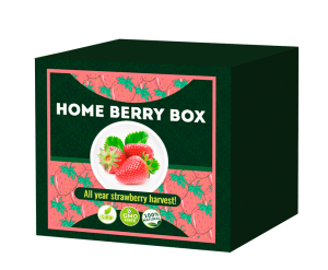 Home berry box - Portugal - Amazon - efeito